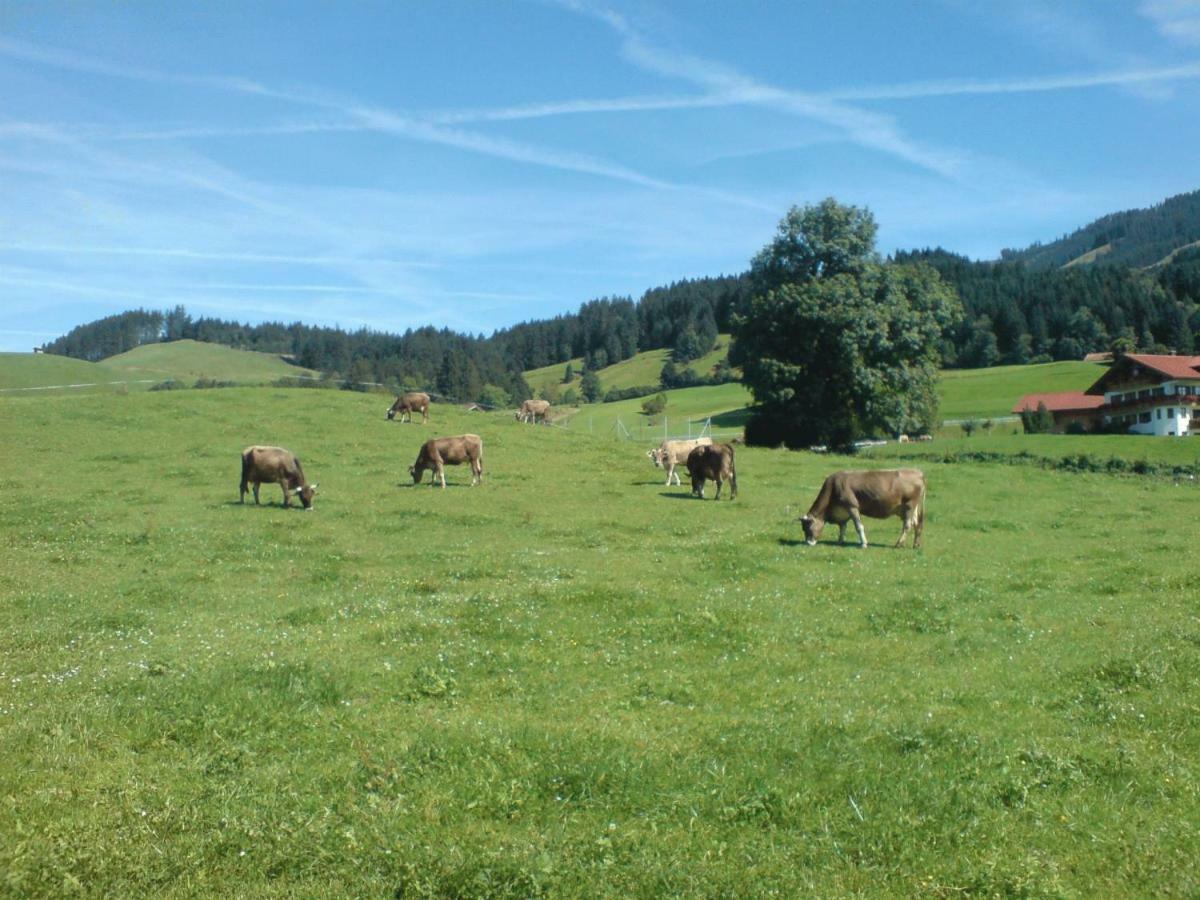 Ferienhof Alfred Albrecht Oberstdorf Bagian luar foto