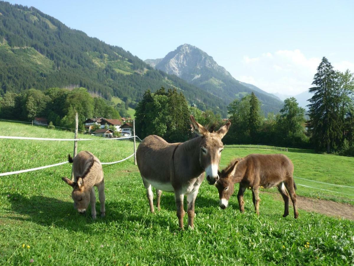 Ferienhof Alfred Albrecht Oberstdorf Bagian luar foto