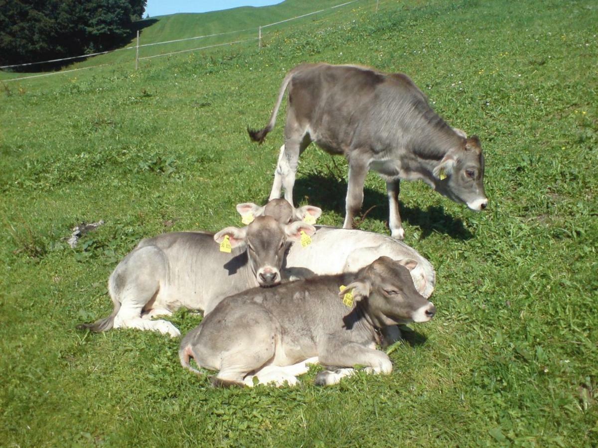 Ferienhof Alfred Albrecht Oberstdorf Bagian luar foto